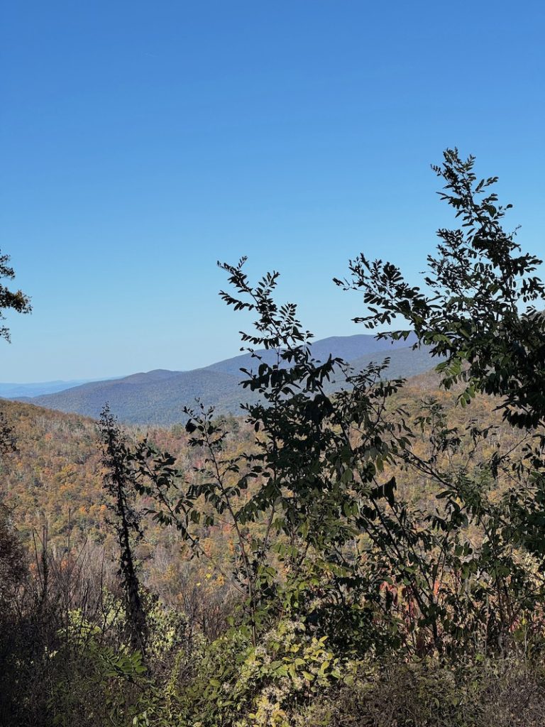 Distant mountain ridges framed by trees and woodland vegetation at Hemlock Springs Overlook.